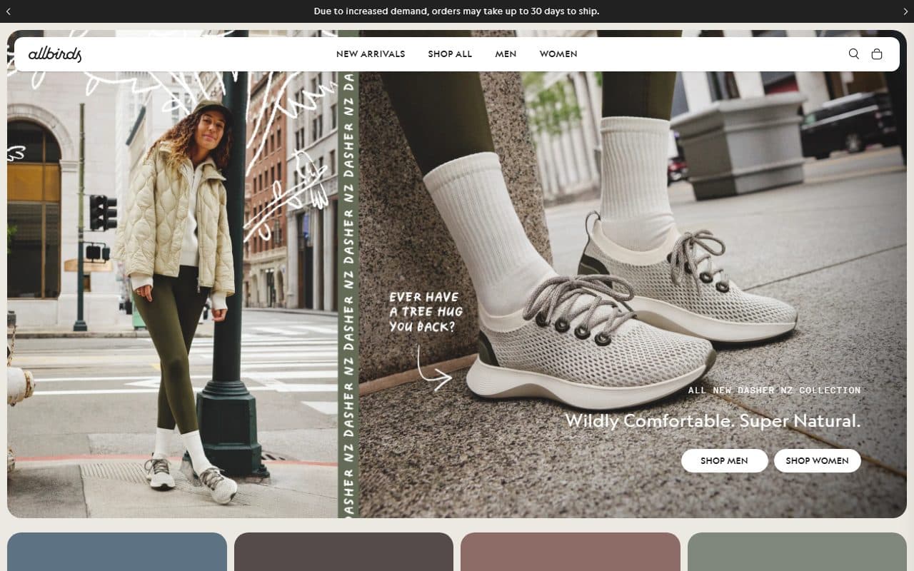 Live example of a e-commerce website: Allbirds
